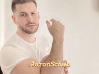 AaronSchulz