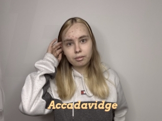 Accadavidge