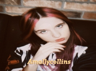 amallycollins Live Paradise