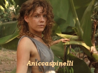 Aniccaspinelli