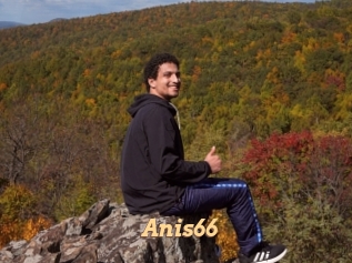 Anis66