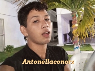 Antonellaconors