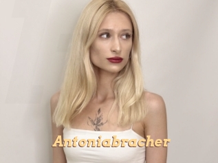 Antoniabracher