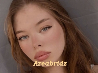 Areabridz