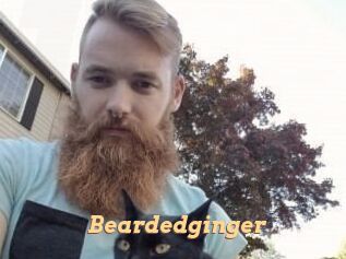 Beardedginger