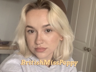 BritishMissPoppy