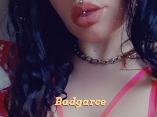 Badgarce