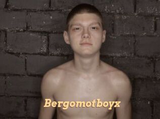 Bergomotboyx