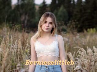 Berniecelittleb