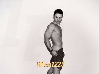Bica1223