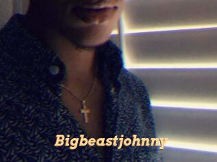 bigbeastjohnny Live Paradise