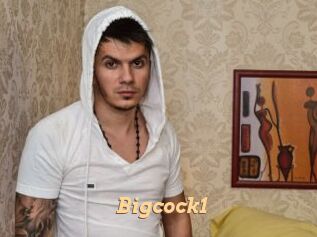 Bigcock1