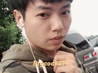 Bigcock214