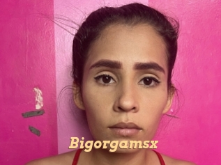 Bigorgamsx