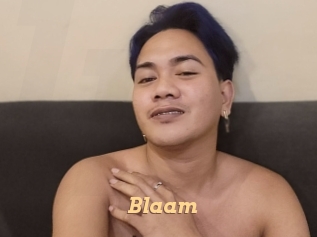 Blaam