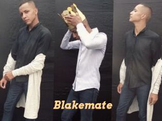 blakemate Live Paradise