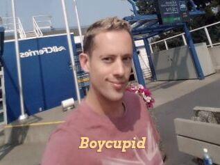 Boycupid