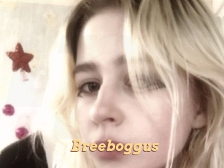 Breeboggus