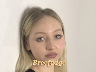 Breefudge