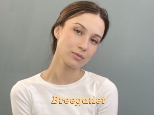 Breeganet