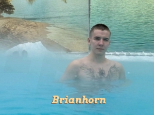 Brianhorn