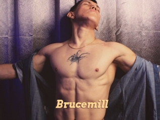 Brucemill