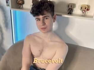 Brucevolt