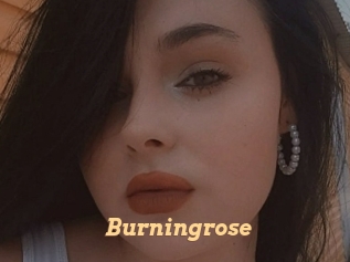 Burningrose