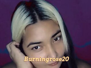 Burningrose20