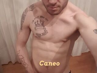 Caneo