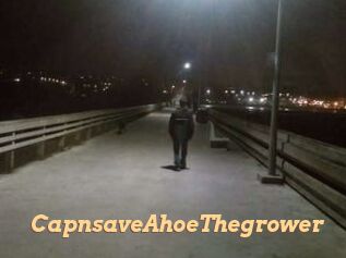 Capn_save_A_hoe_The_grower