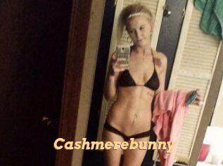 Cashmerebunny