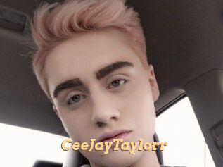 CeeJayTaylorr