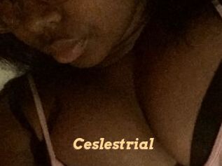 Ceslestrial