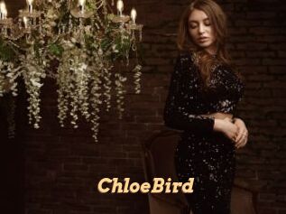 ChloeBird