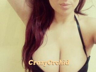 CrazyOrchid