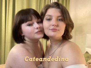 Cateandedina