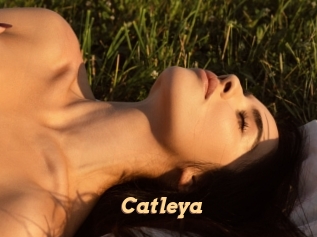 Catleya