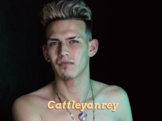 Cattleyanrey