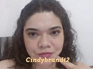 Cindybrandt2