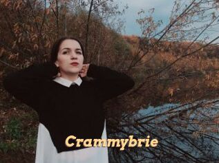 Crammybrie