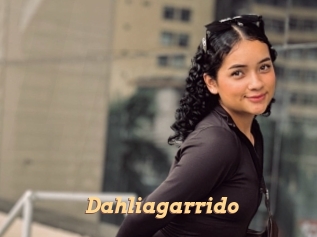 Dahliagarrido