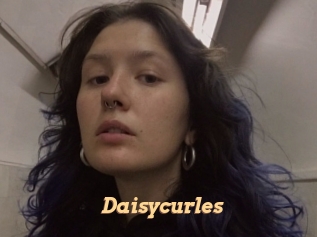 Daisycurles