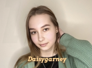 Daisygarney