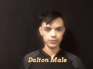 Dalton_Male