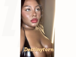 Destinytorn