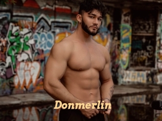 Donmerlin