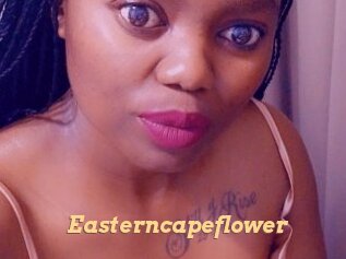 Easterncapeflower