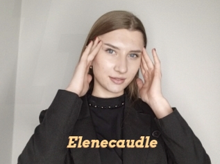 Elenecaudle