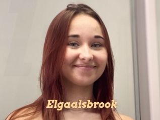 Elgaalsbrook